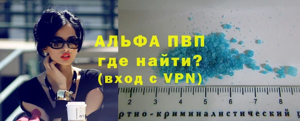 a pvp Инта