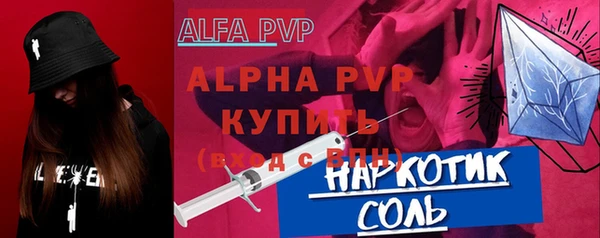 МДПВ Инсар