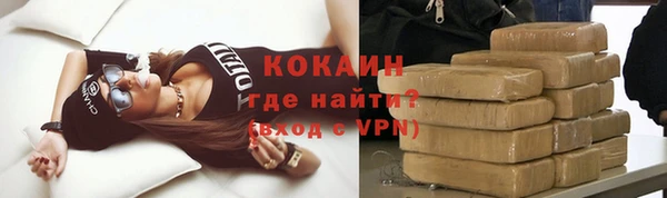 МДПВ Инсар