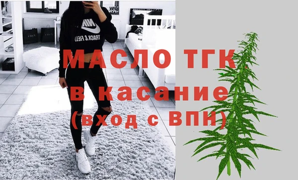 МДПВ Инсар