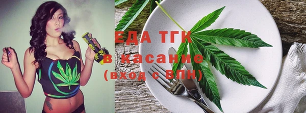 МДПВ Инсар