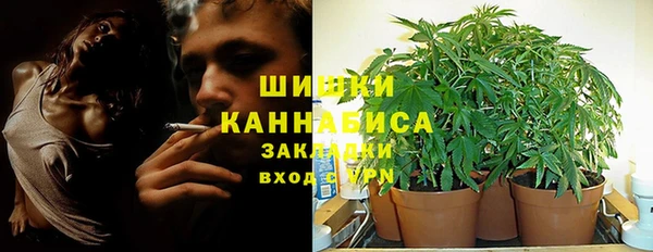 МДПВ Инсар