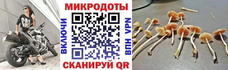 Галлюциногенные грибы GOLDEN TEACHER  Кяхта 
