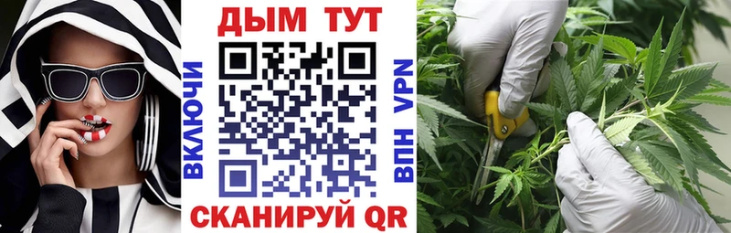 Каннабис семена  купить   Кяхта 